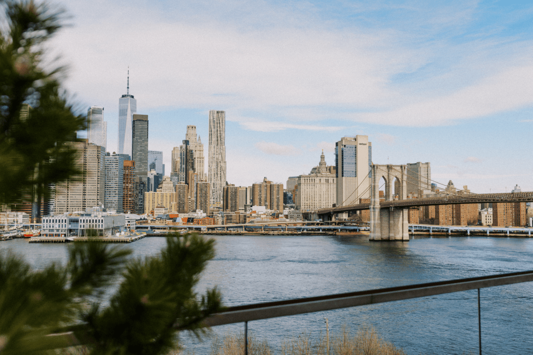 View of the New York City skyline with the Brooklyn Bridge over the East River, visible buildings include One World Trade Center and other skyscrapers, partly obscured by a tree in the foreground.