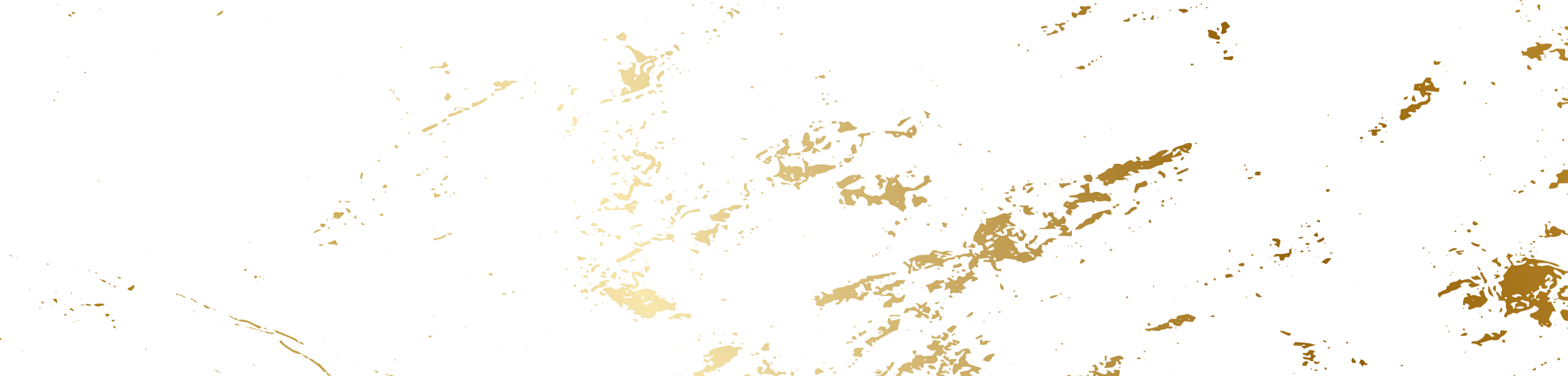 Close-up of dark textured surface with irregular light-colored patches and cracks.