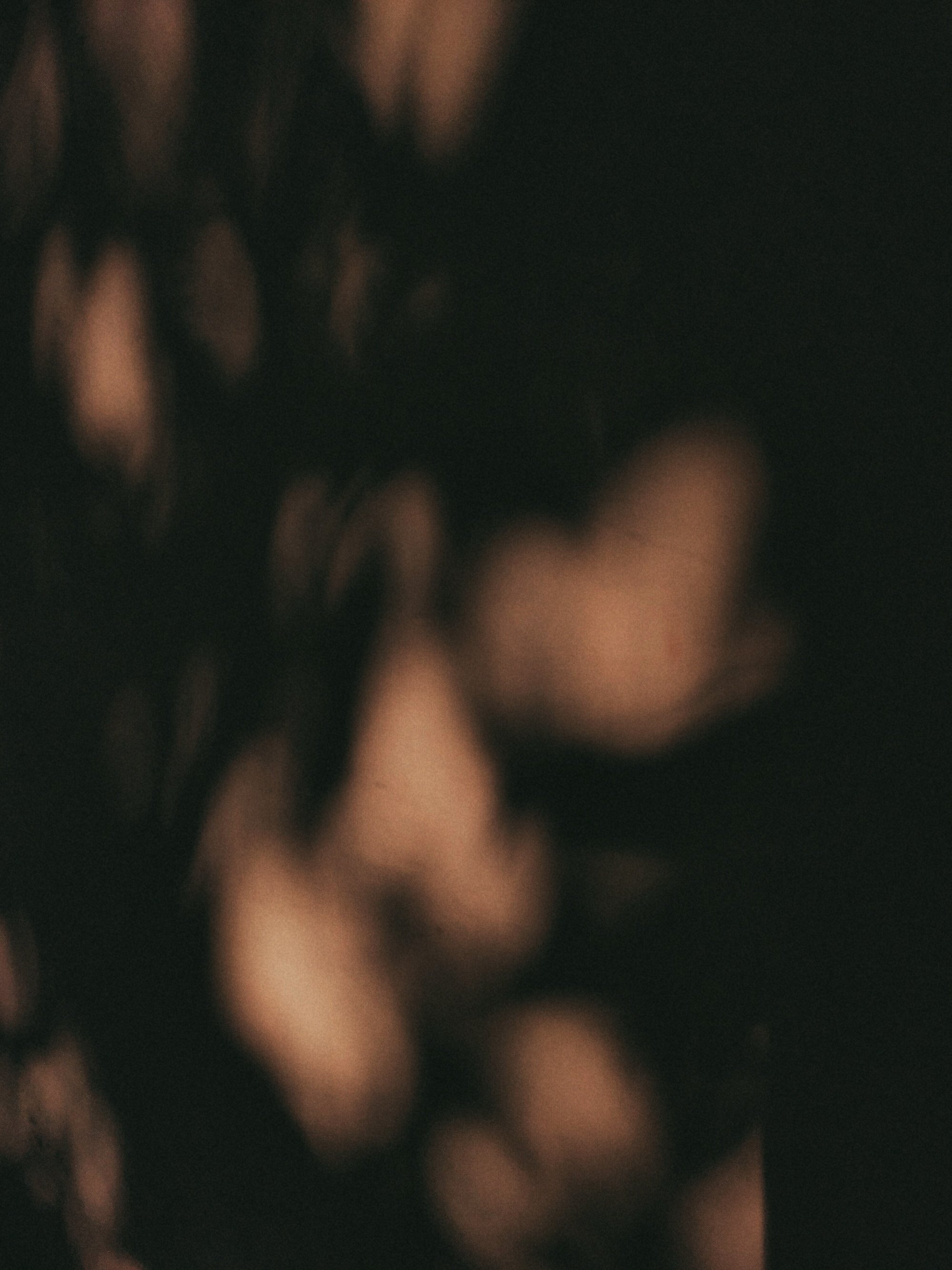 Blurry close-up of light-colored flowers against a dark background.