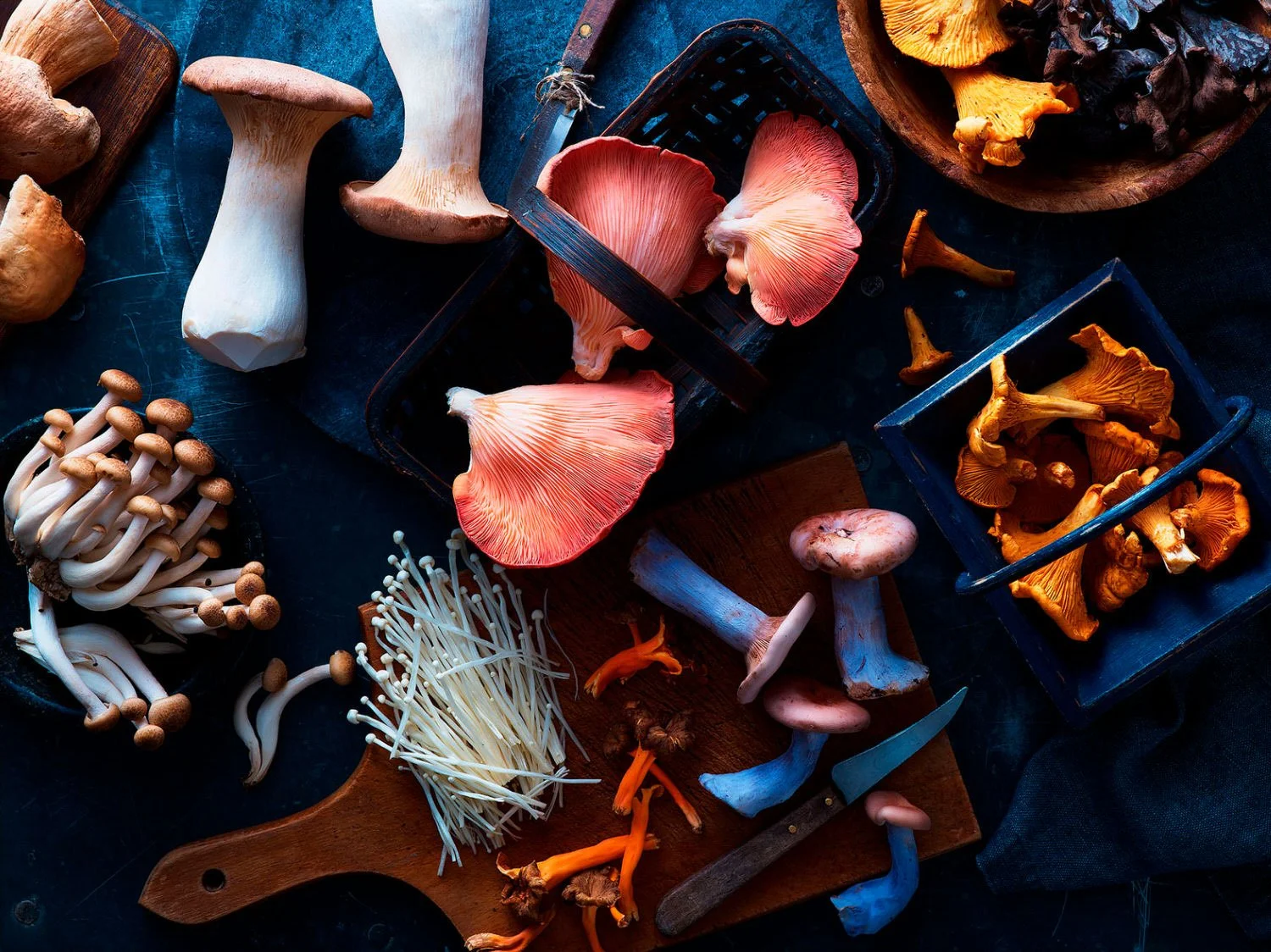 Ryan Ball food photographer — wild mushroom range still life, commercial photography South West