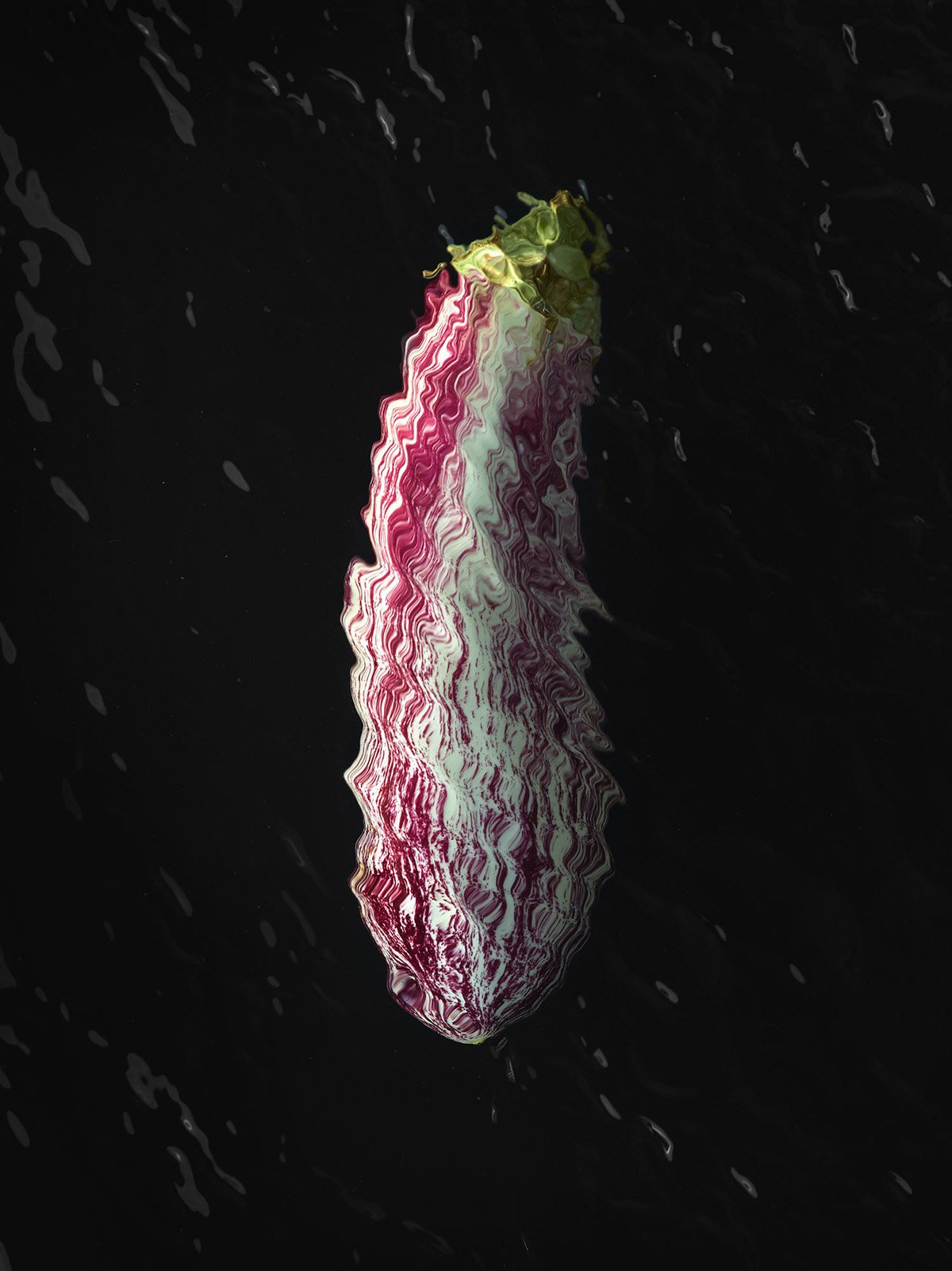 Aubergine-RGB-FL.jpg