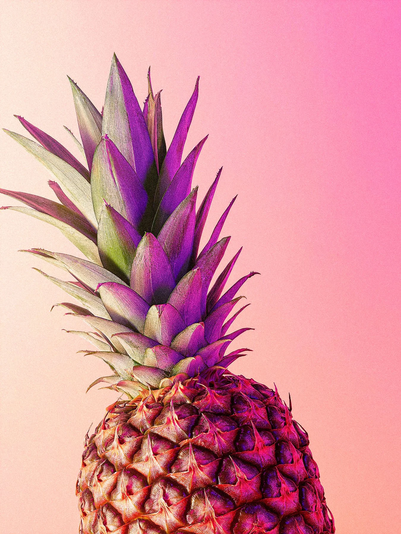 Colorful pineapple with purple and green leaves against a pink gradient background.