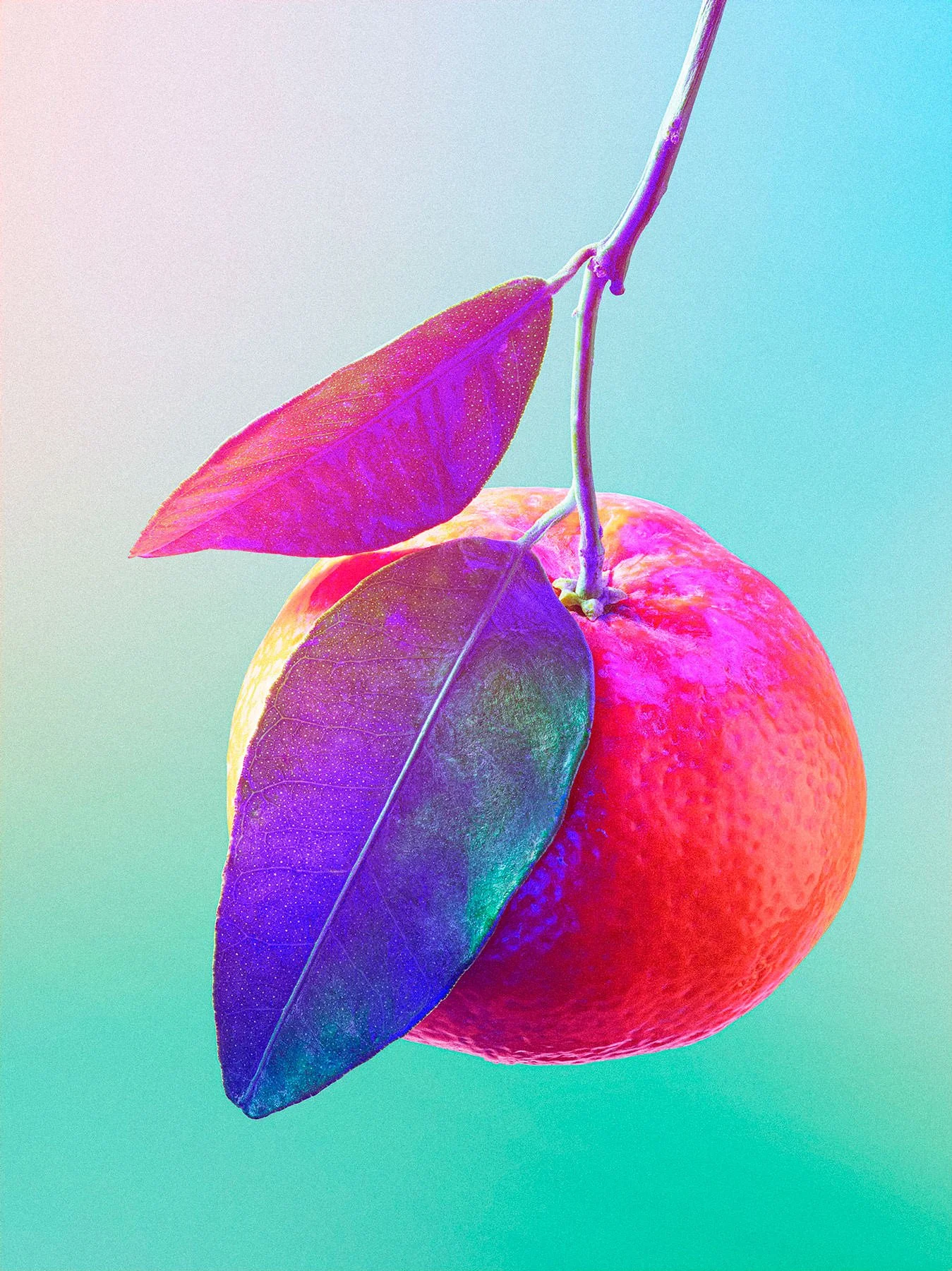 Ryan Ball Photography — Still life of an orange, creative food photographer South West