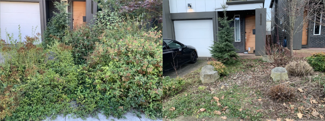 Screenshot 2026-03-11 at 14.33.47.png