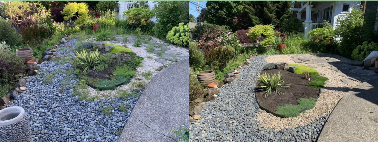 Comparison of a rock garden before and after landscaping. Left shows a garden with overgrown plants, uneven patches, and scattered rocks. The right shows the same garden after renovation with a neat, defined layout, new plants, and organized gravel.