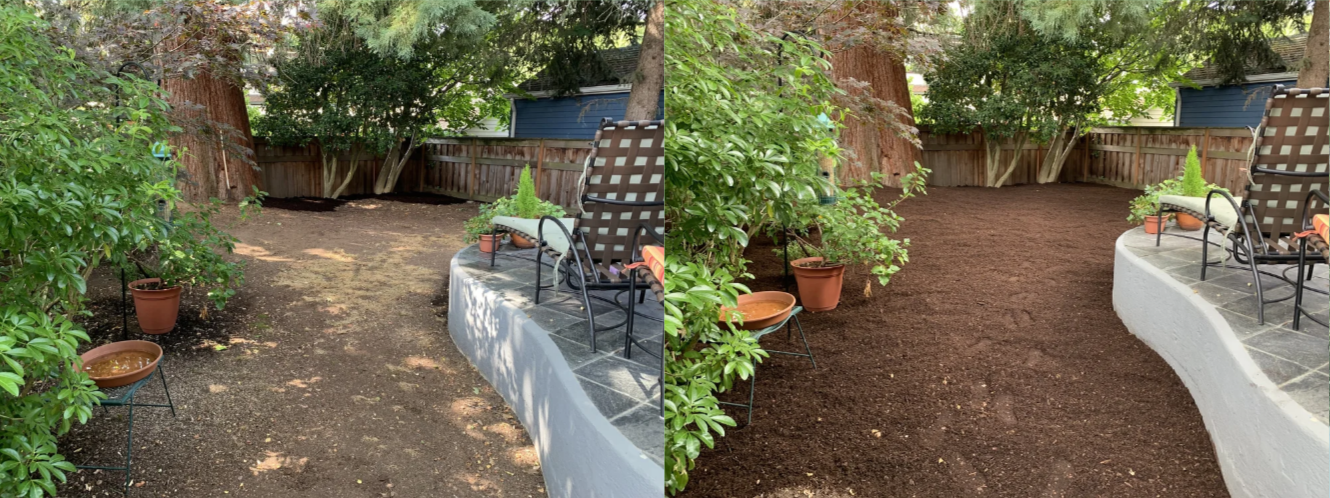 Comparison of a backyard garden before and after landscaping showing soil preparation and new mulch under a tree, with patio furniture and potted plants.