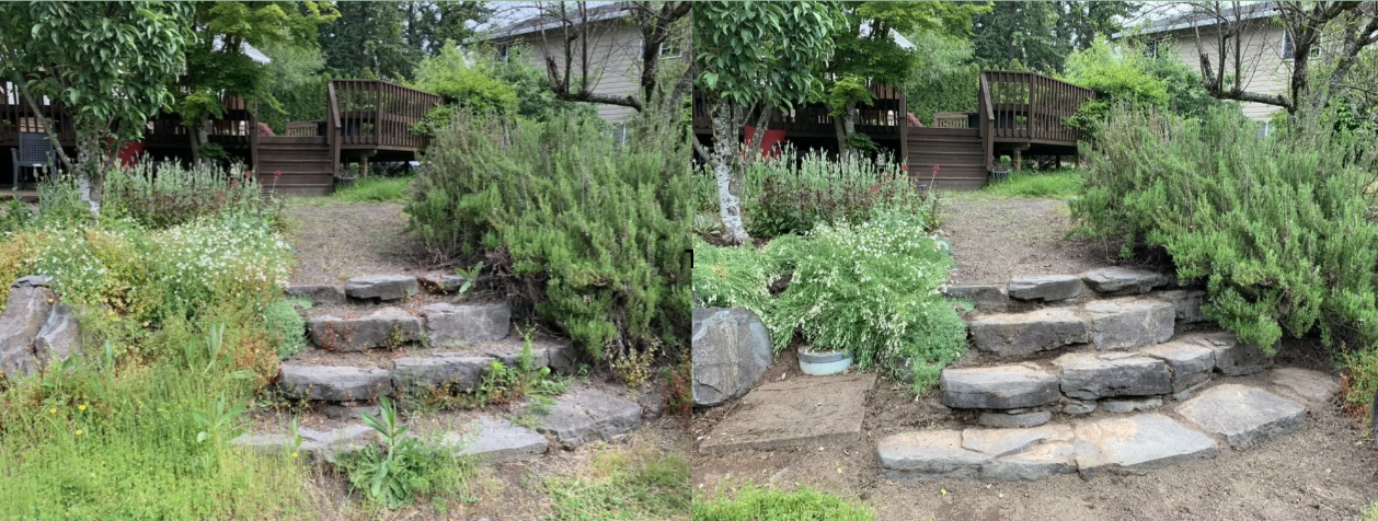Comparison of a garden staircase before and after improvement, featuring stone steps and various plants, with a wooden deck in the background.