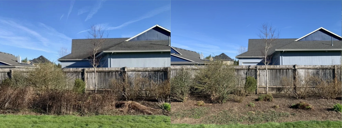 Side-by-side comparison of a backyard garden before and after weeding and cleanup. Before shows overgrown shrubs and weeds, after shows a cleared garden bed with trimmed bushes and no weeds.