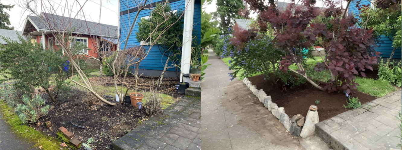 Before and after pictures of a garden makeover. The left image shows a garden with sparse plants, exposed soil, and a leafless tree, while the right image shows the same garden transformed with lush, colorful shrubs, a stone border, and a neat, mulch