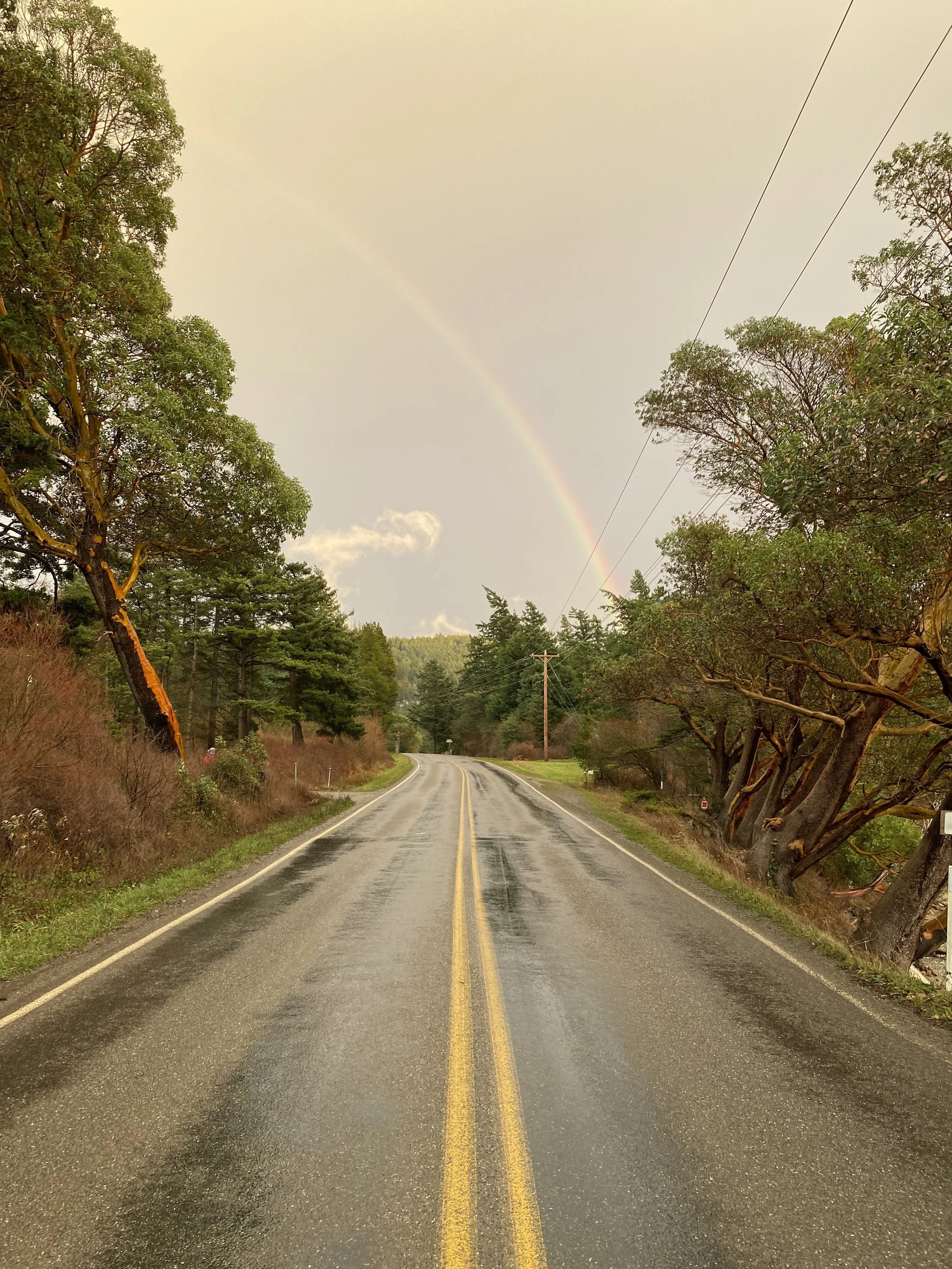 A wet, two-lane road with yellow dividing lines stretching into the distance through a rural area with green trees on both sides. A faint rainbow is visible in the sky above the trees.