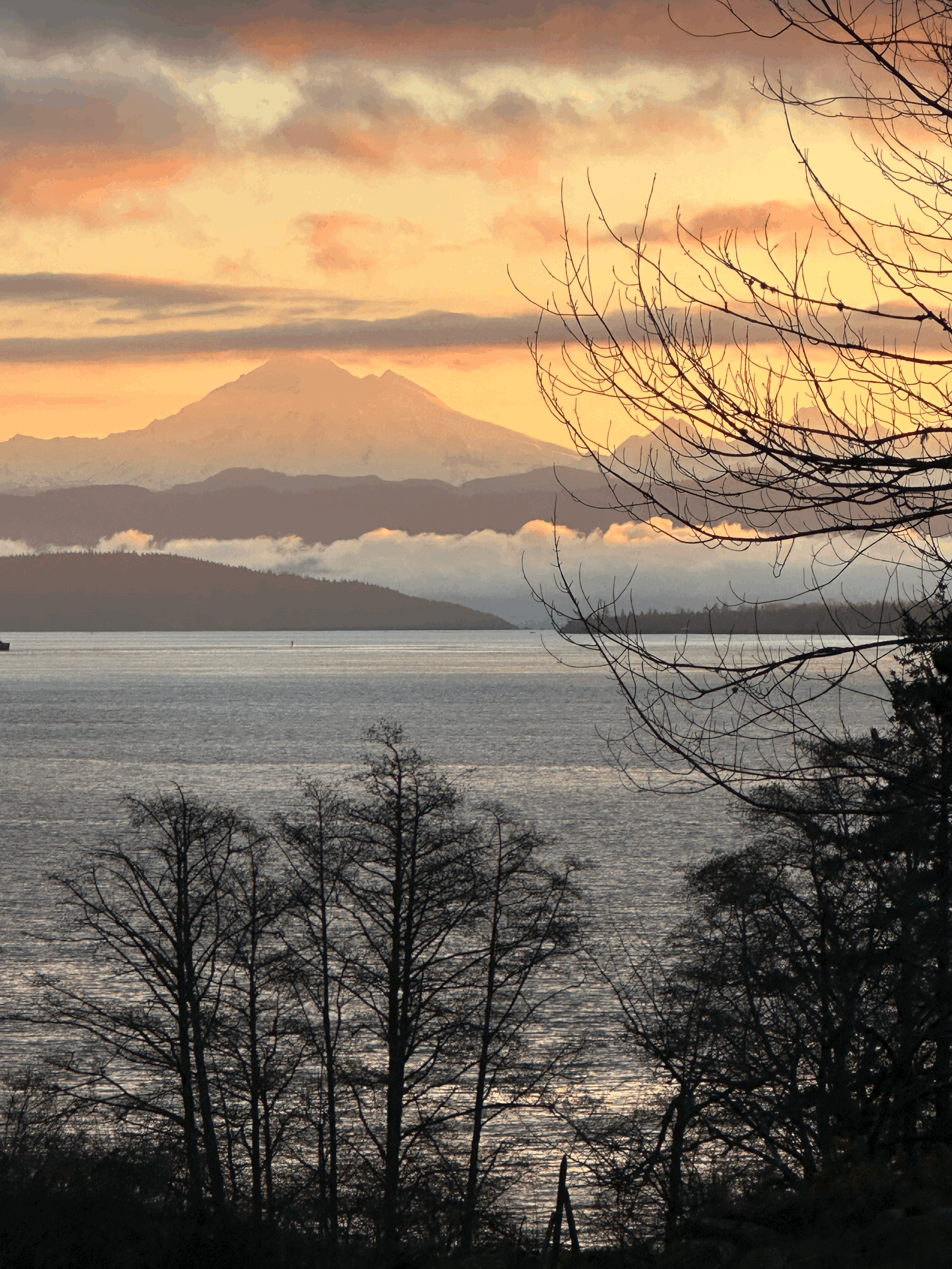 The Tower → The Star