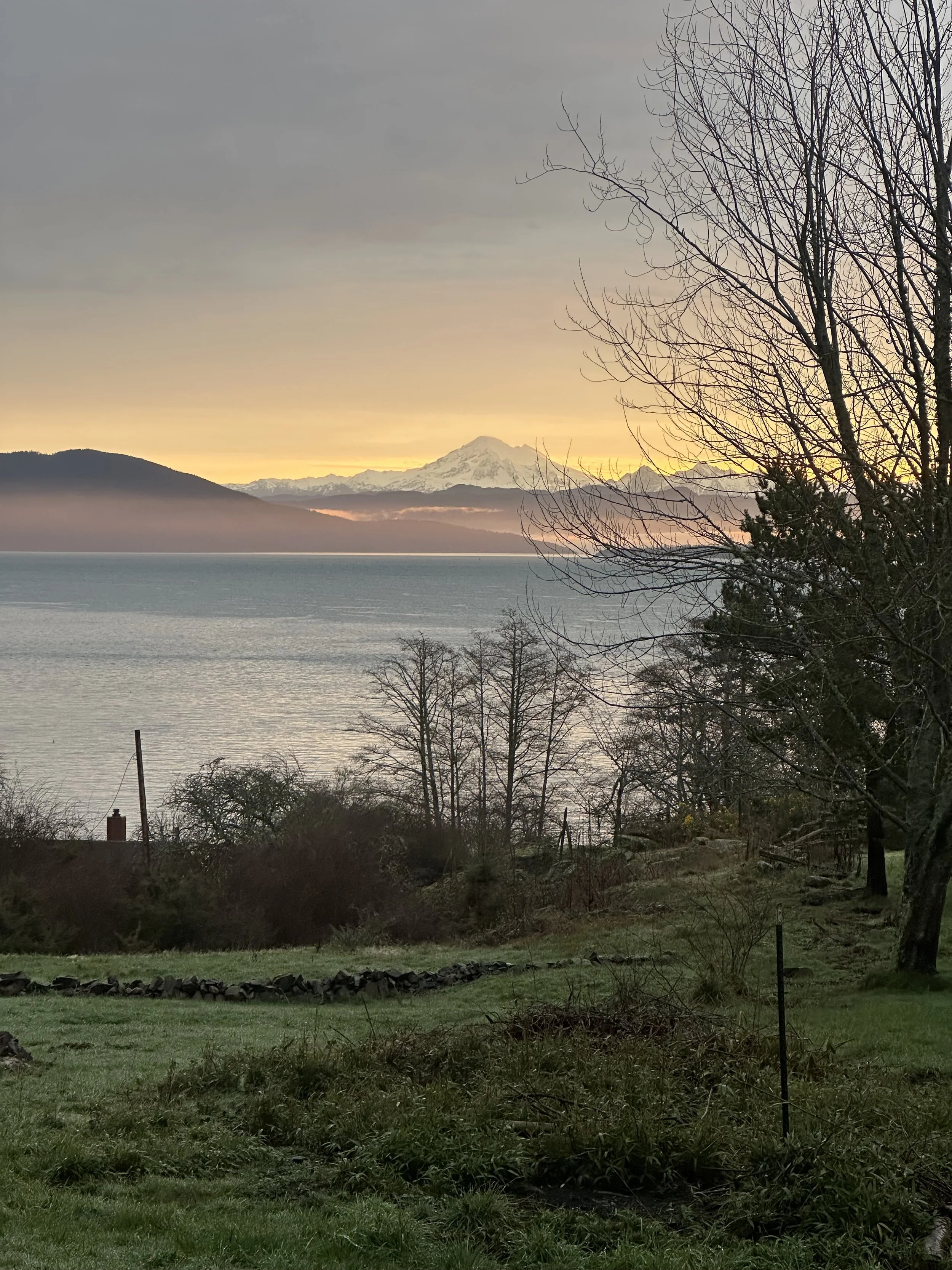 A scenic view of a large body of water with mountains in the background, including a snow-capped peak, during sunset or sunrise, with trees and grassy area in the foreground.