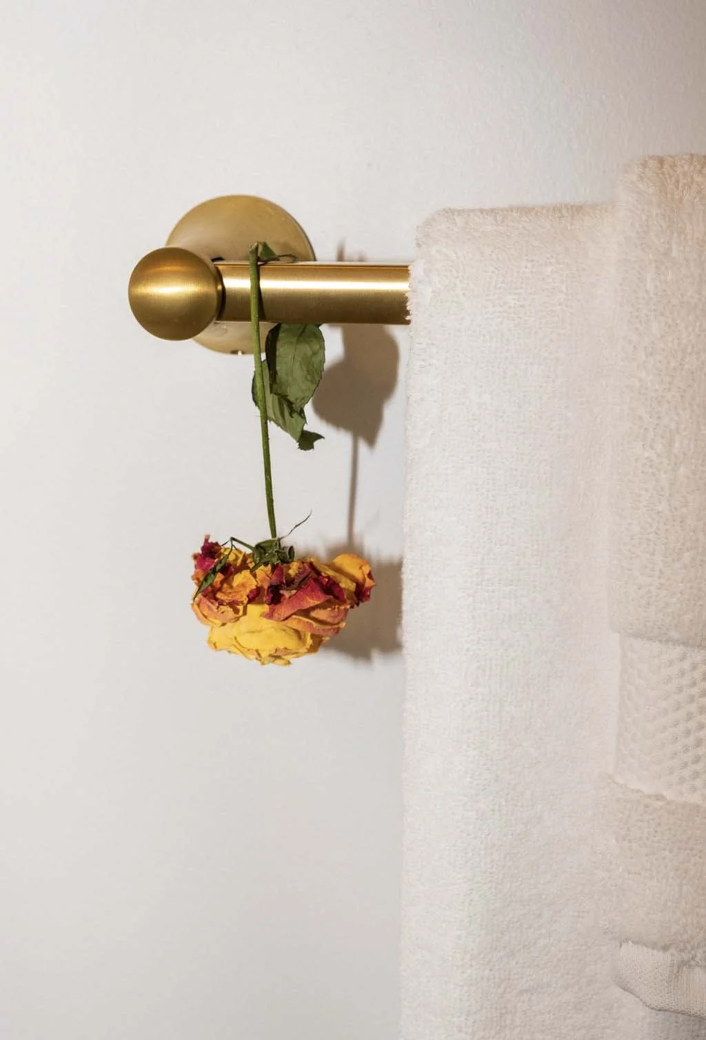 root-down-remodeling-bathroom-remodel-close-up-of-shower-bar.jpg