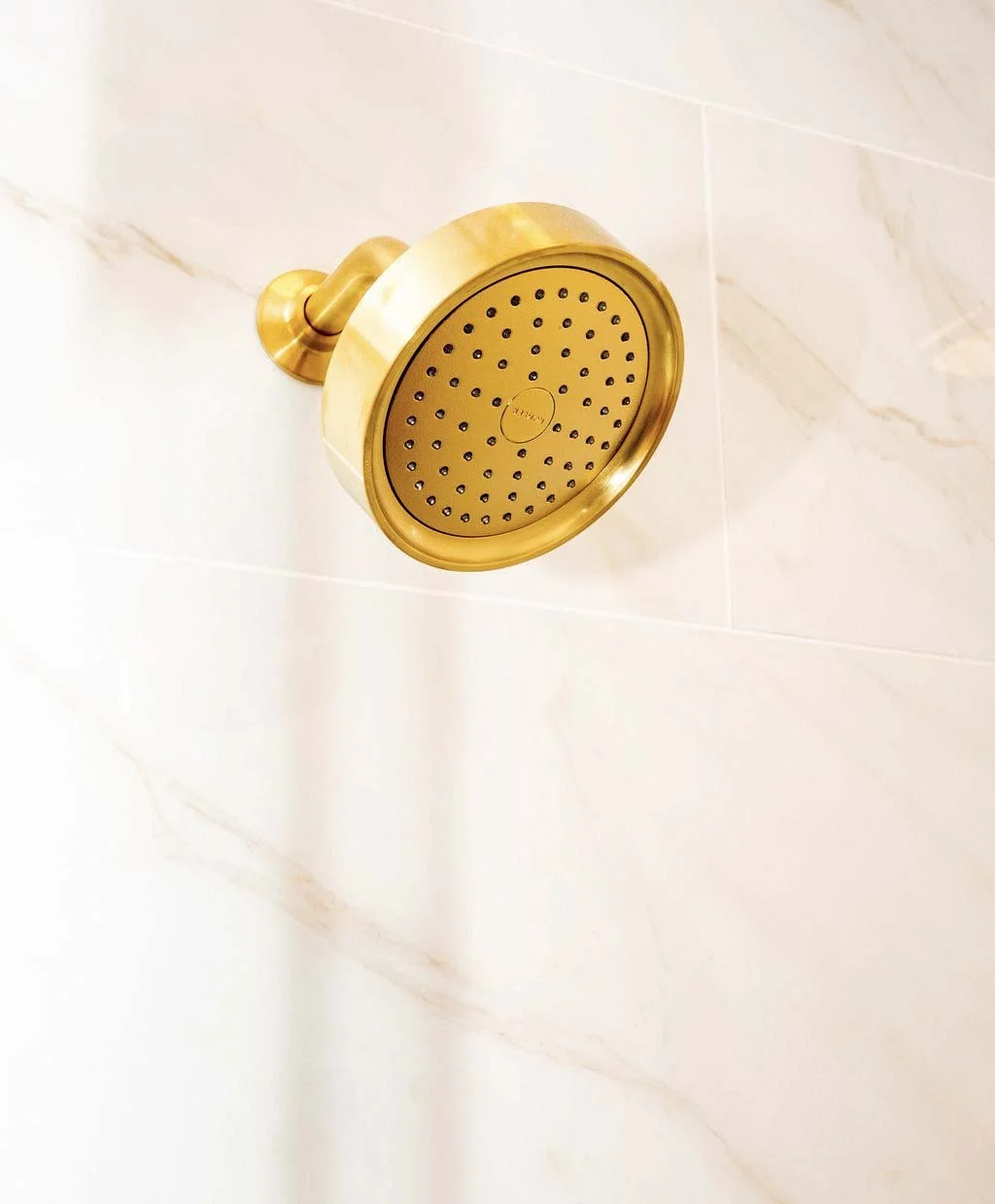 root-down-remodeling-bathroom-remodel-shower-head-close-up.jpg
