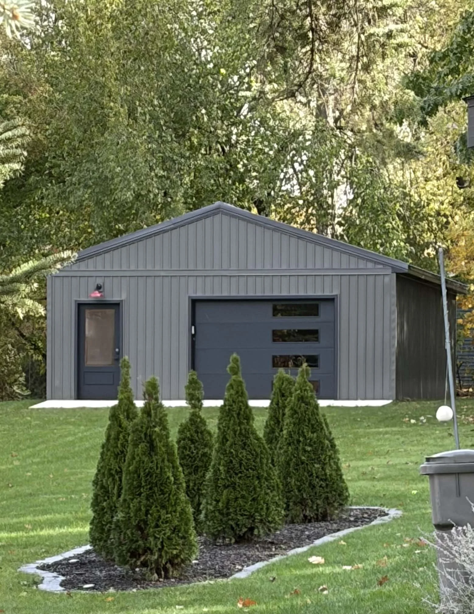 A gray shed with a gabled roof, set in a green yard with a row of tall, narrow evergreen trees in front. The yard has well-manicured grass and some fallen leaves, with a black shrub mulch outline. Behind the shed are large, leafy trees with green and some yellowish foliage, and part of a house and a black pole on the right side.