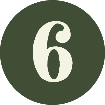 Number six displayed in white on a dark green circular background.