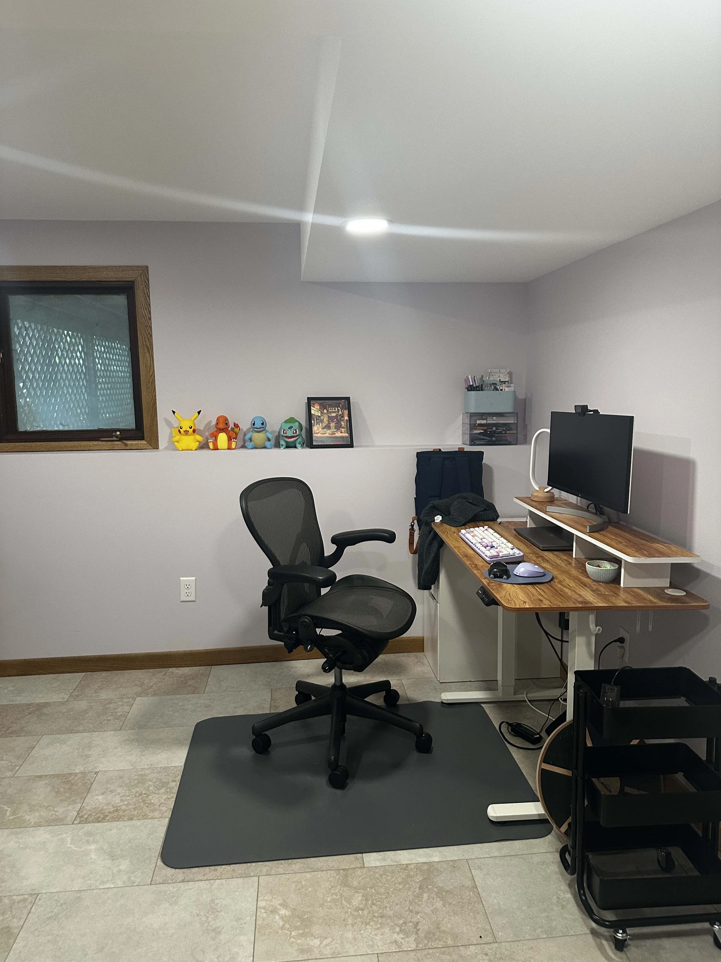 root-down-remodeling-basement-remodel-office.jpg