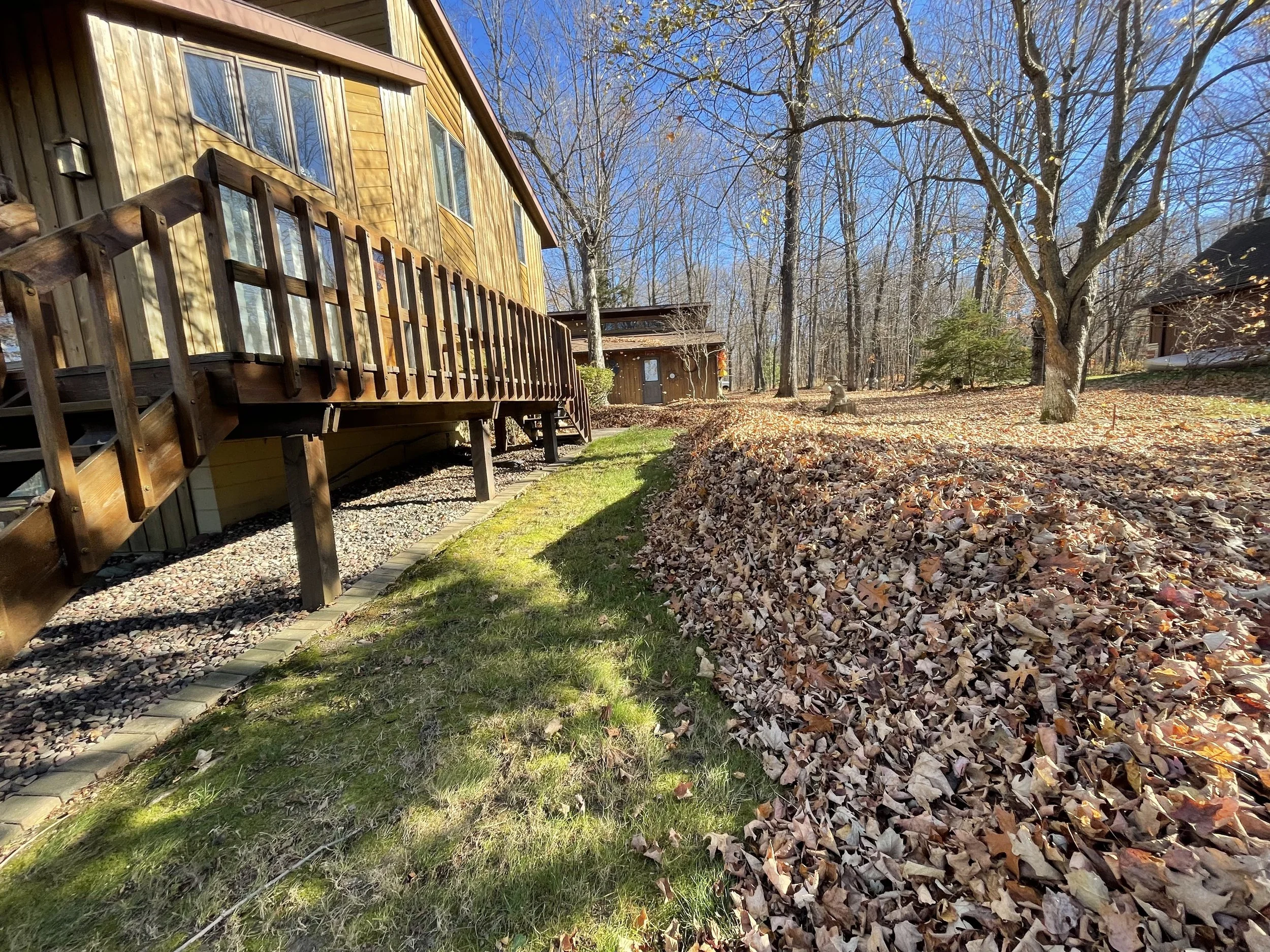 A wooden house with a deck on the left side, a yard covered with brown fallen leaves, and a large leafless tree in the background on a clear, sunny autumn day.