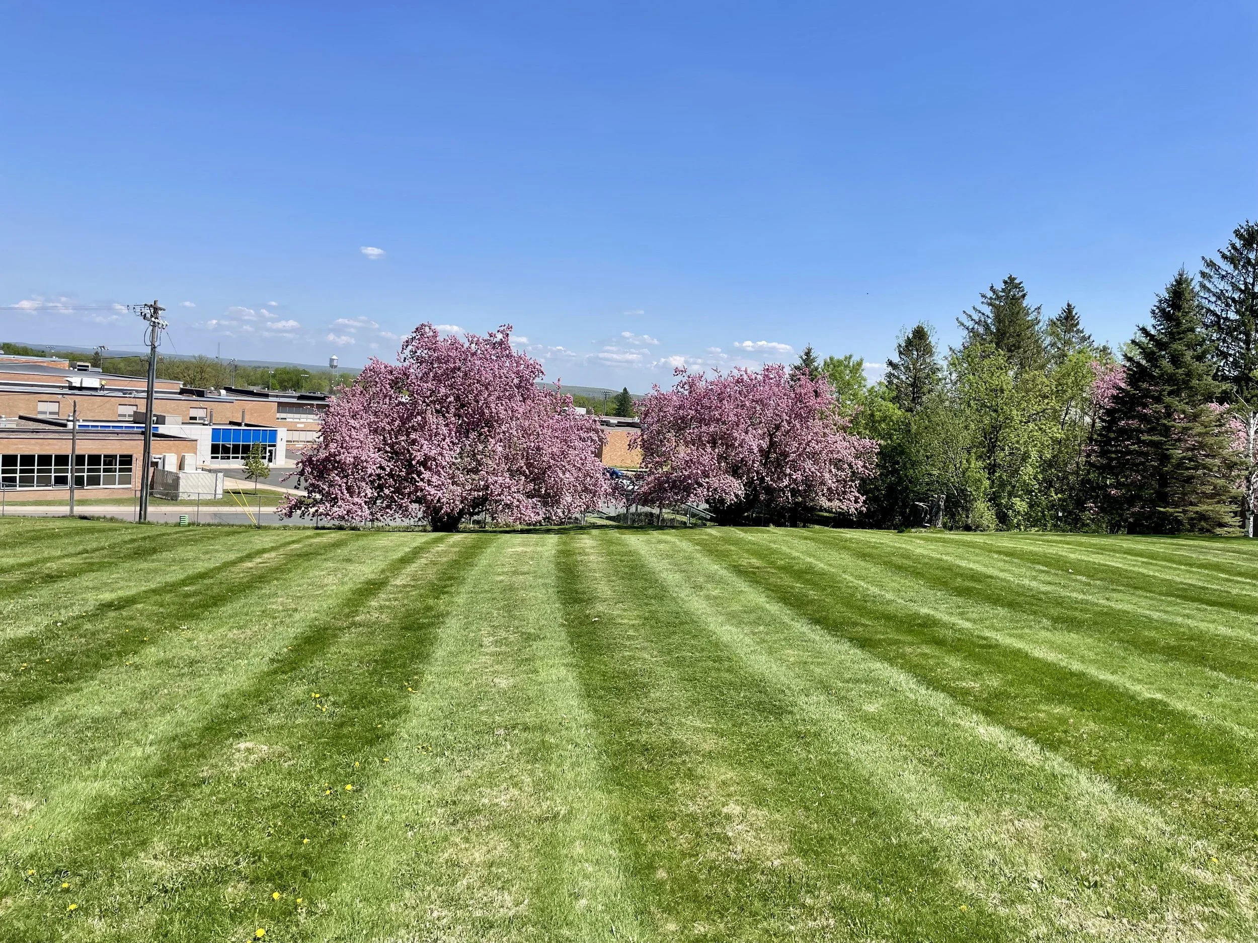 CM Lawn Care services residential properties in Barron county