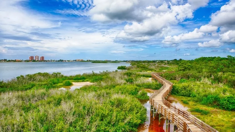 A wooden boardwalk winding through a green wetland area near a large body of water with a city skyline in the distance under a blue sky with scattered clouds.