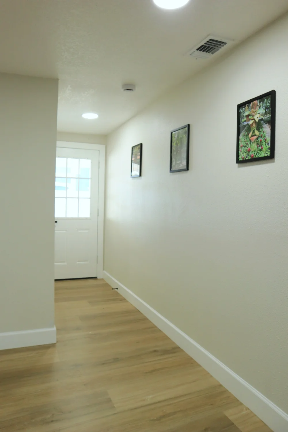 Hallway to Patio