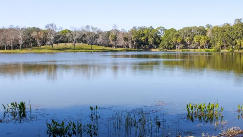 A peaceful lake surrounded by trees with reflections on the water.