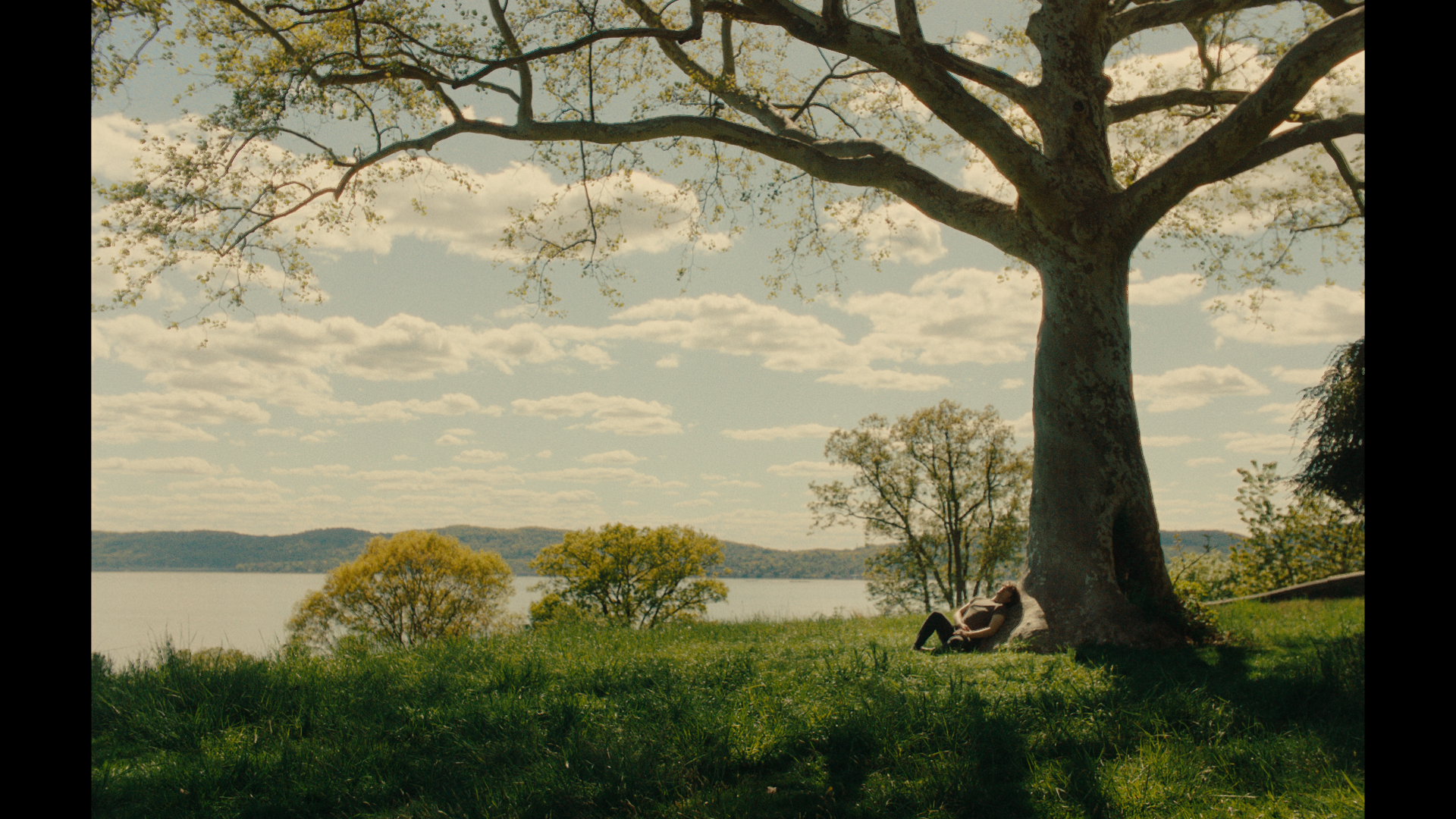 Still 2026-03-06 145434_1.6.1.png