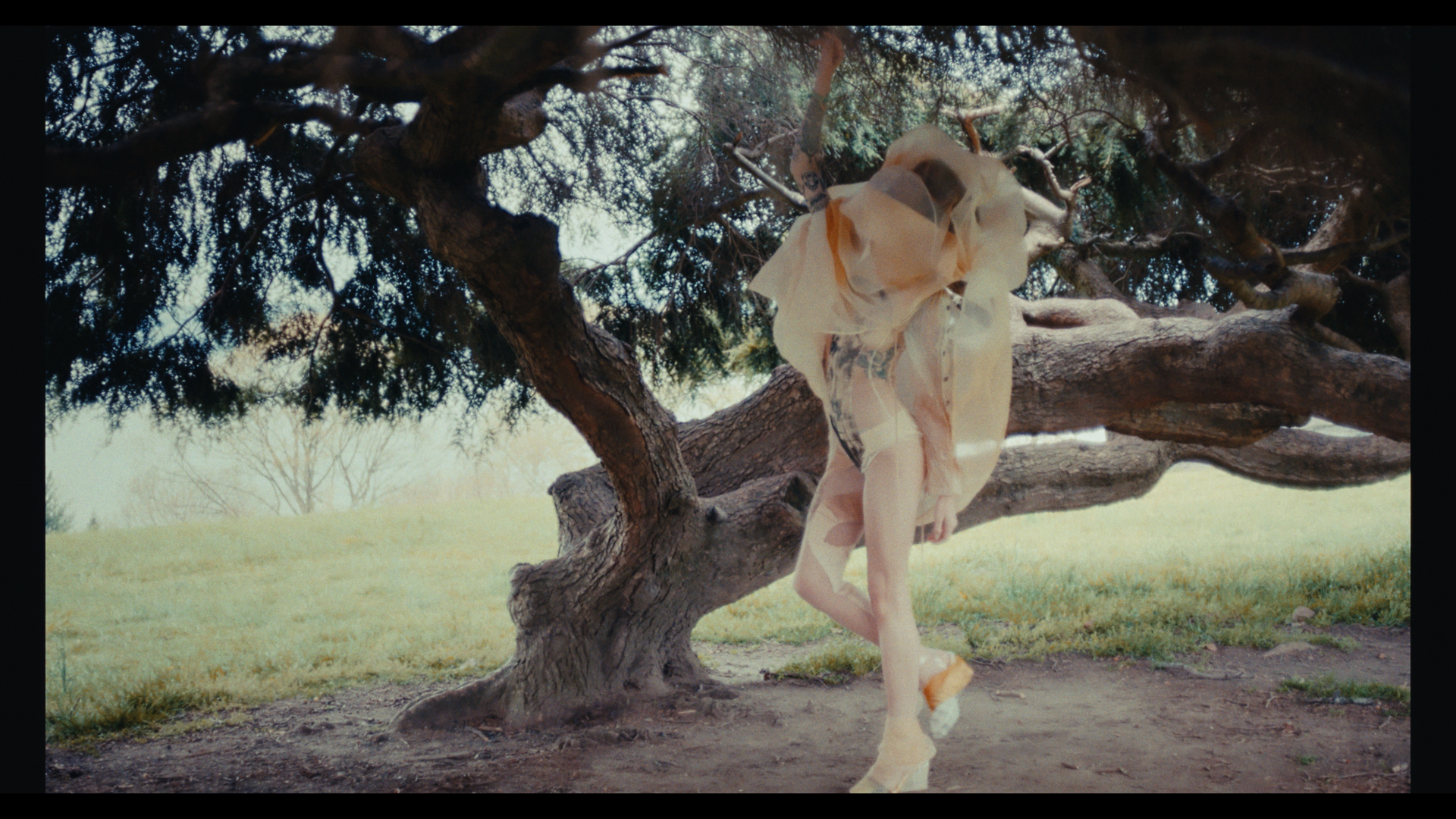 Still 2026-03-06 155807_1.1.6.png