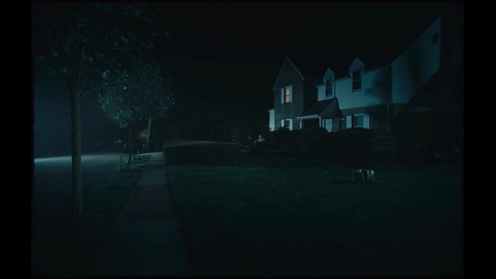 Still 2026-03-06 194436_1.1.8.jpg