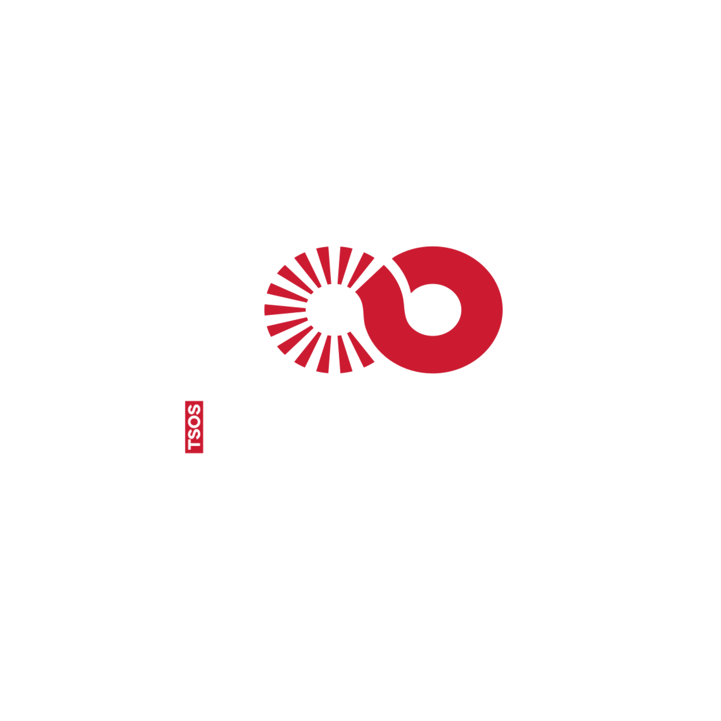 Black background with white and red text and logos for the Doing Good Foundation, in partnership with the Tsos logo, featuring the phrase 'IN PARTNERSHIP WITH' above a red and black circular graphic, and 'TSOS DO GOOD FOUNDATION' below.