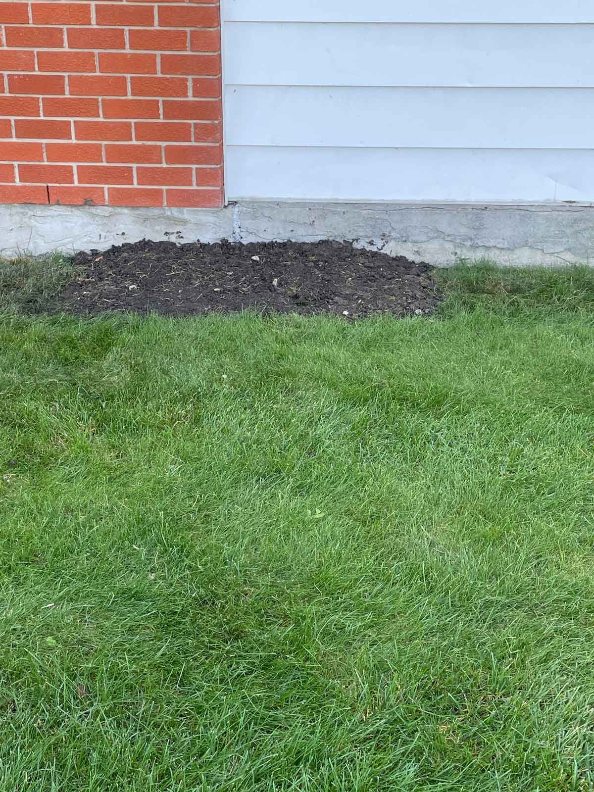 Backfilling and tidying site after foundation crack repair.