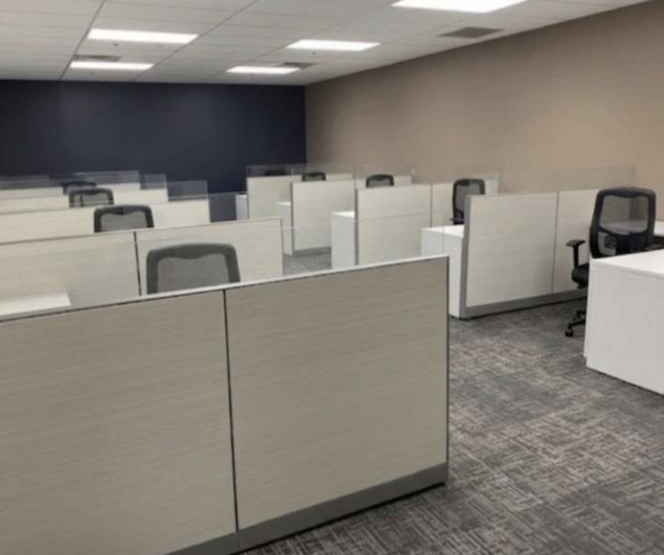 Pre-owned office cubicles repurposed in an elegant space