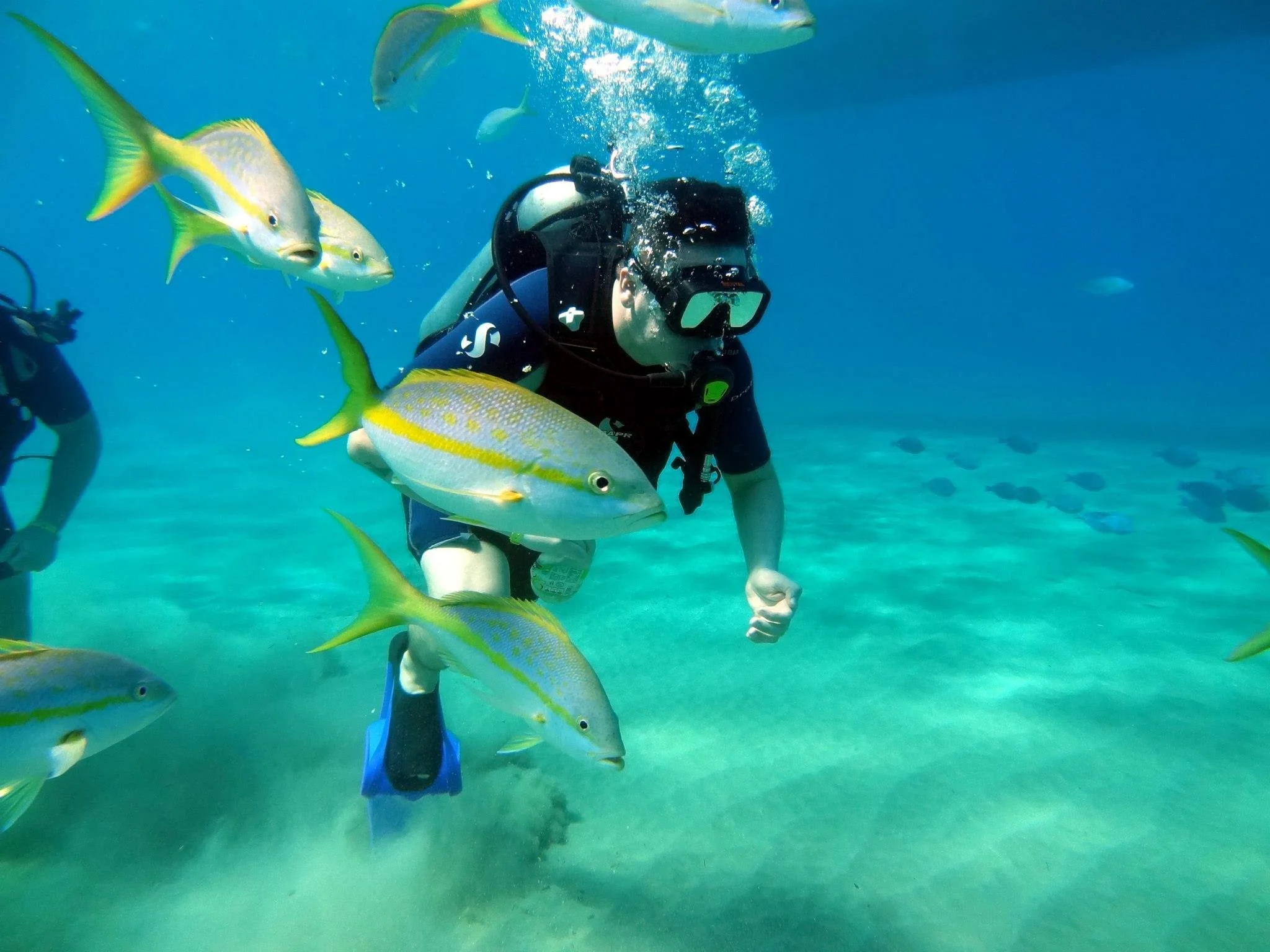 Scuba