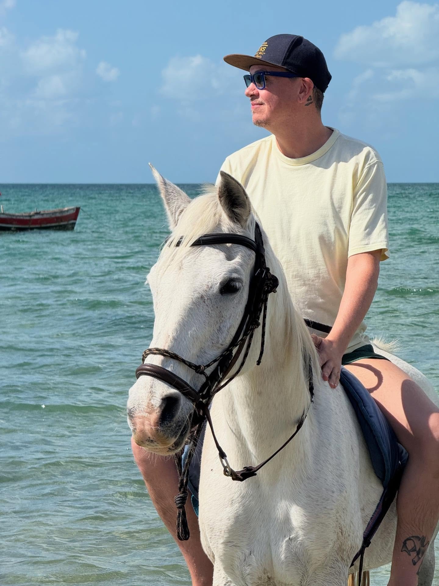 Africa Horse