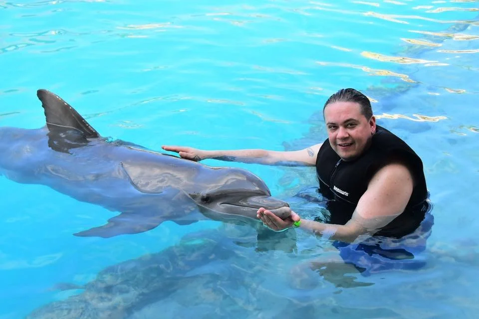 Mike - Dolphin