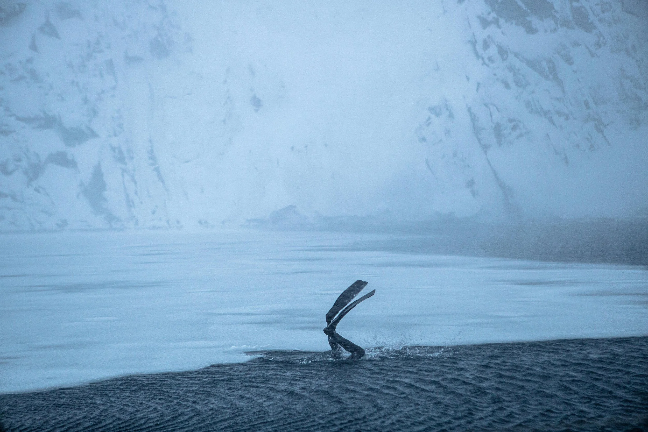 Freediver_Scientist - Arctic Norway_c.SophieBolesworth_0215.jpg