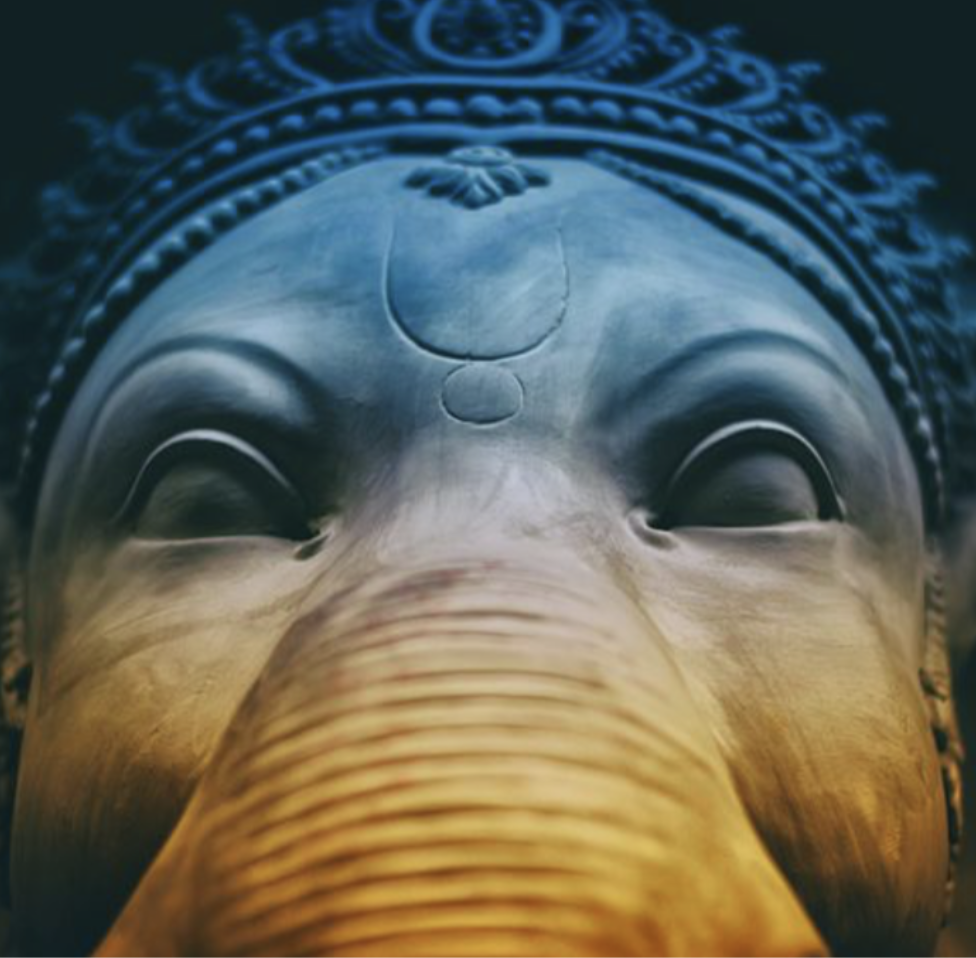 Elephant Symbolism in Asian Psych