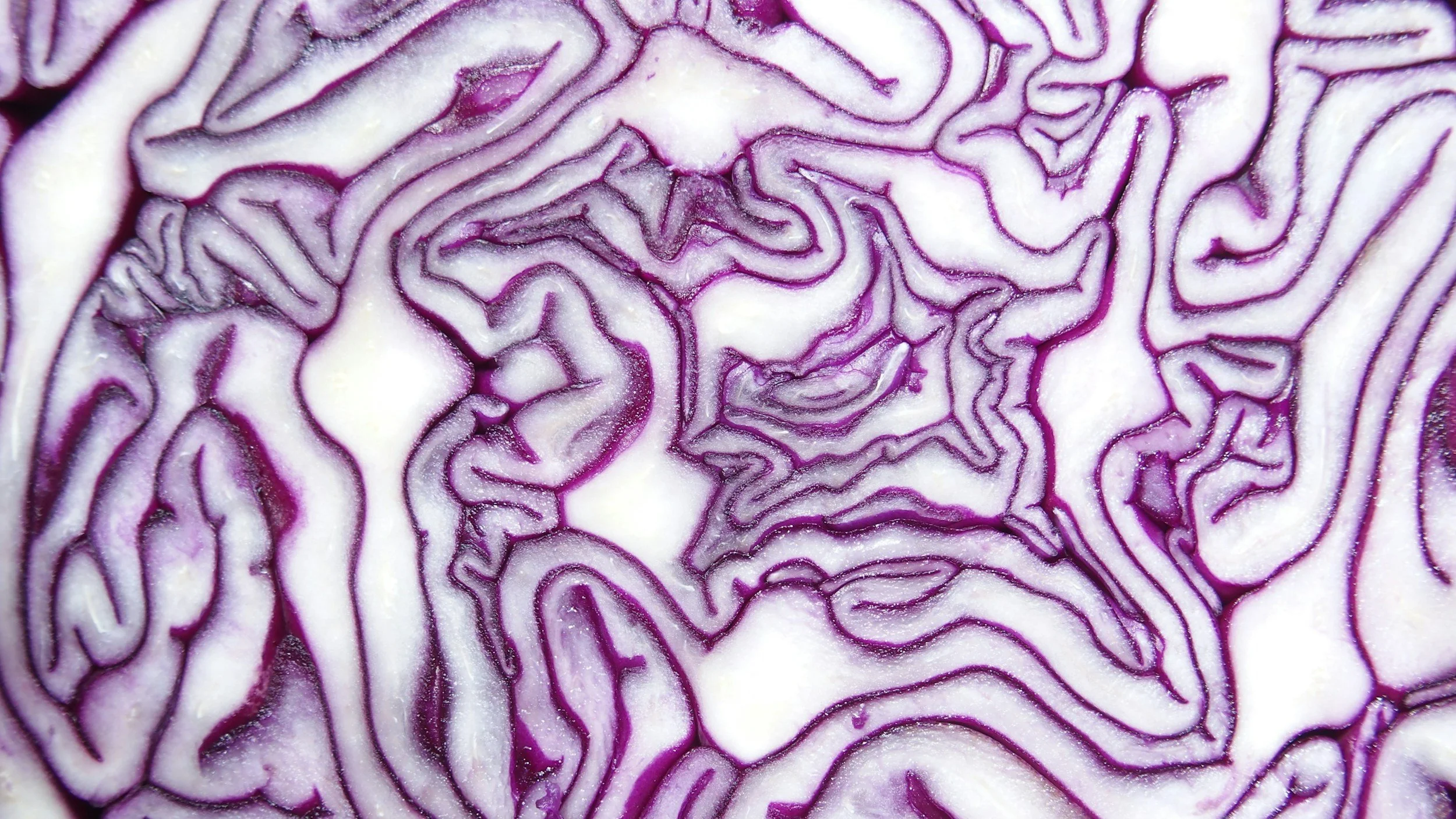 7 Ways to Support Your Adrenal Glands Through Nutrition