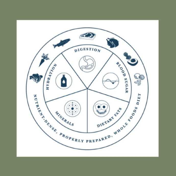 What is Nutrition Therapy?