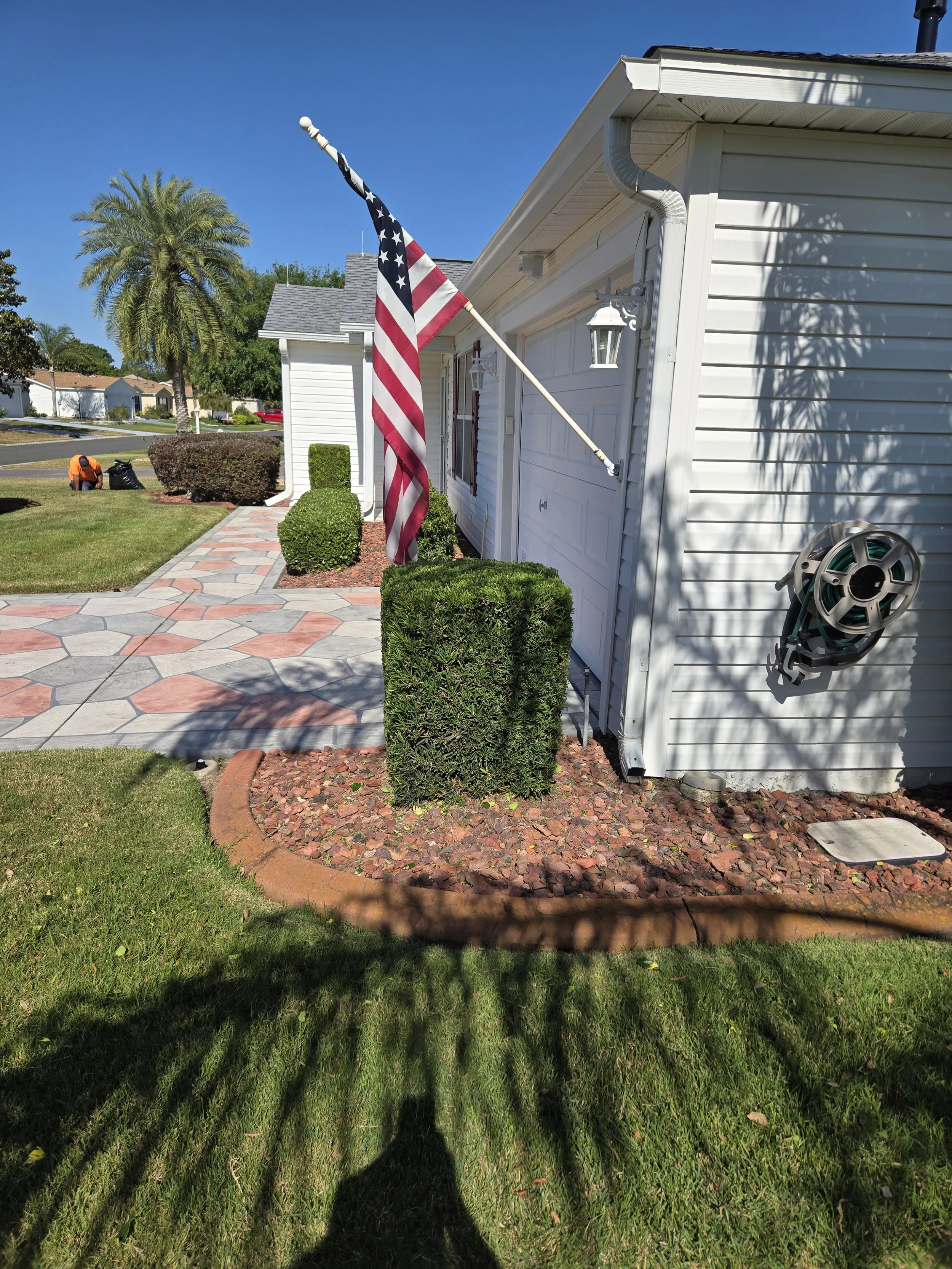 Professional Bush and Shrub Trimming Service