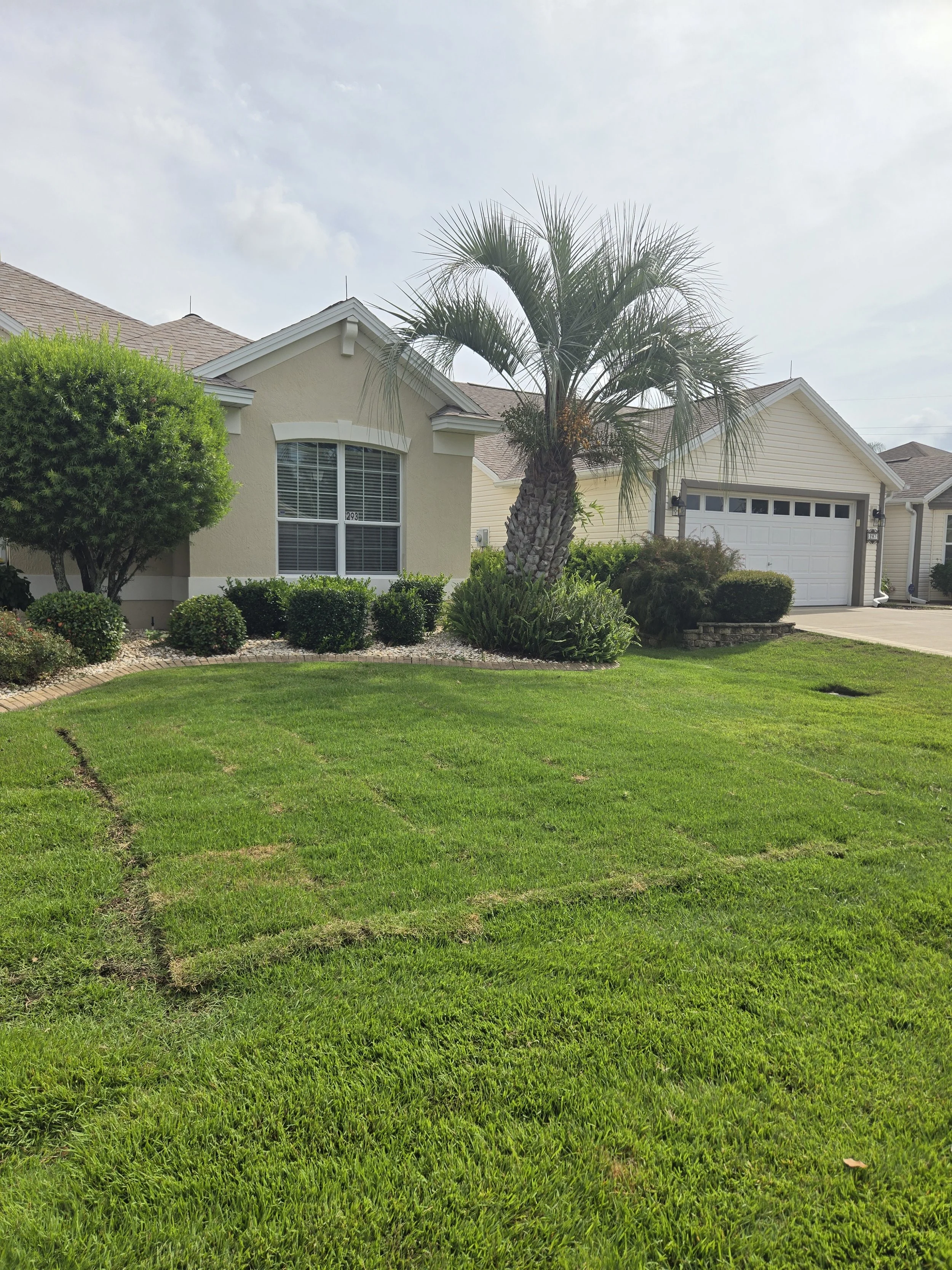 Premium Sod Installation Service