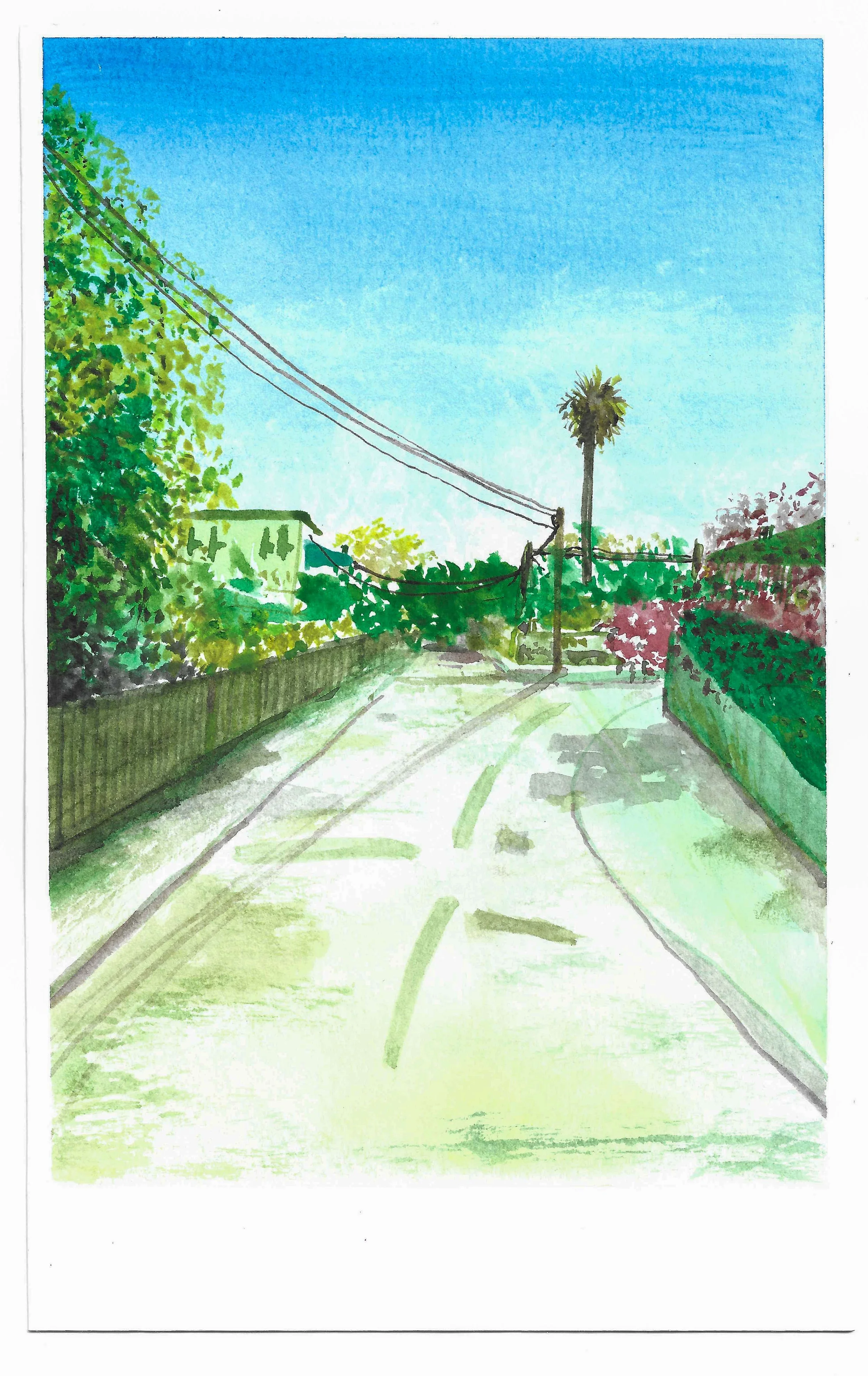 A watercolor painting of a quiet suburban street with green foliage, a tall palm tree, power lines overhead, a fence on the left, a green hedge on the right, and a bright blue sky.