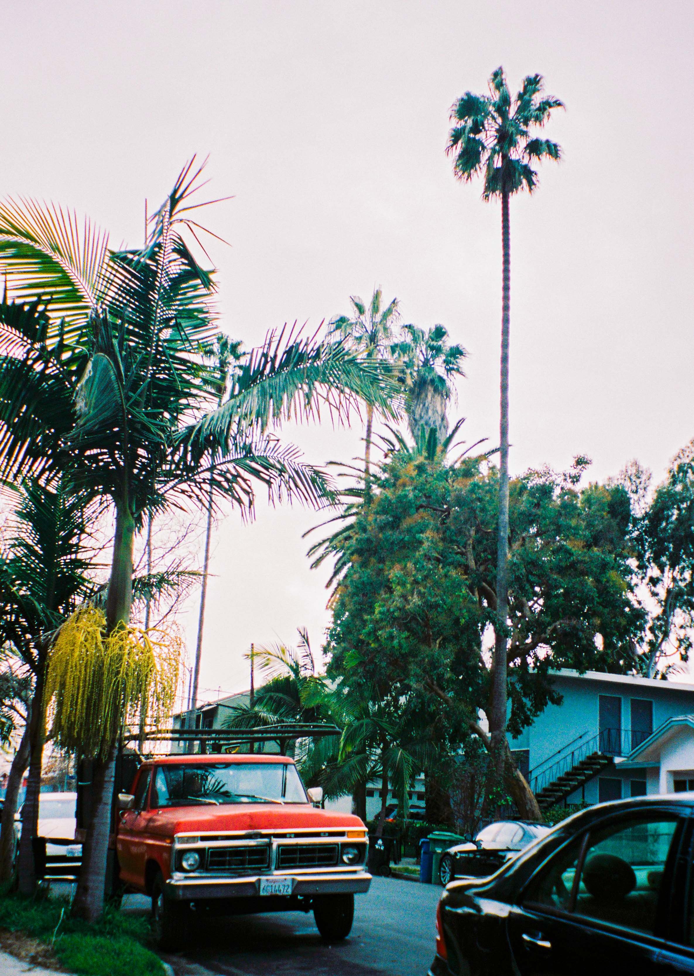 Street scene with palm trees, parked cars, and a blue residential building.