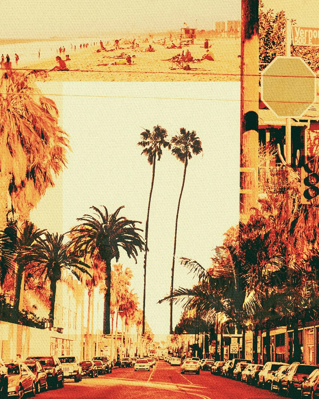 Street view of palm trees lining a busy downtown street with parked cars, storefronts, and a clear sky.