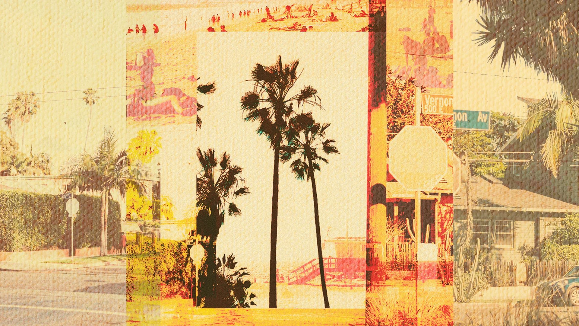 A collage of images featuring palm trees, street signs, houses, and a sunset, with a textured, layered artistic style.