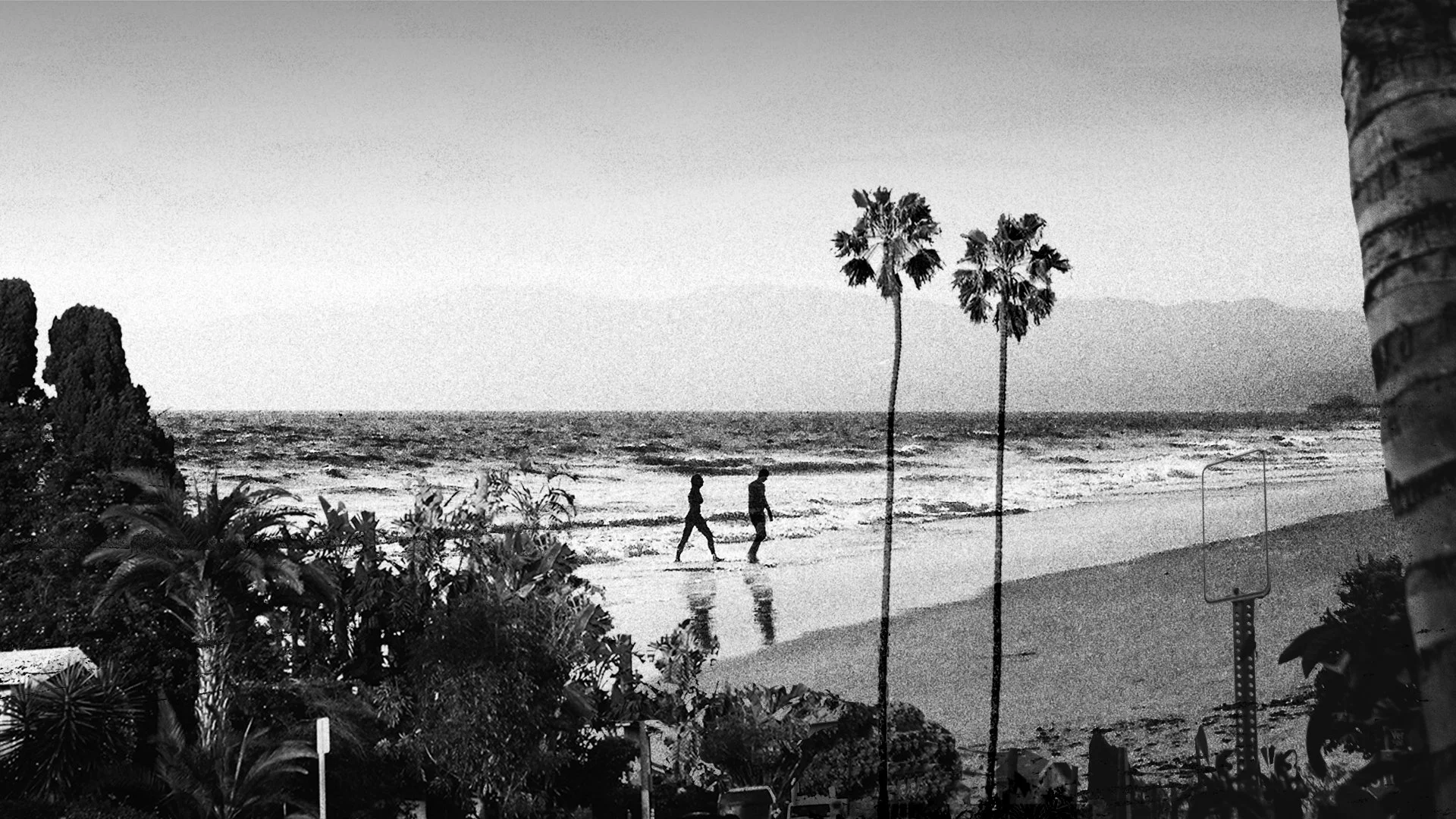 A black and white photograph of a beach scene with two people walking along the shoreline, palm trees, and vegetation in the foreground, and a distant mountain range in the background.