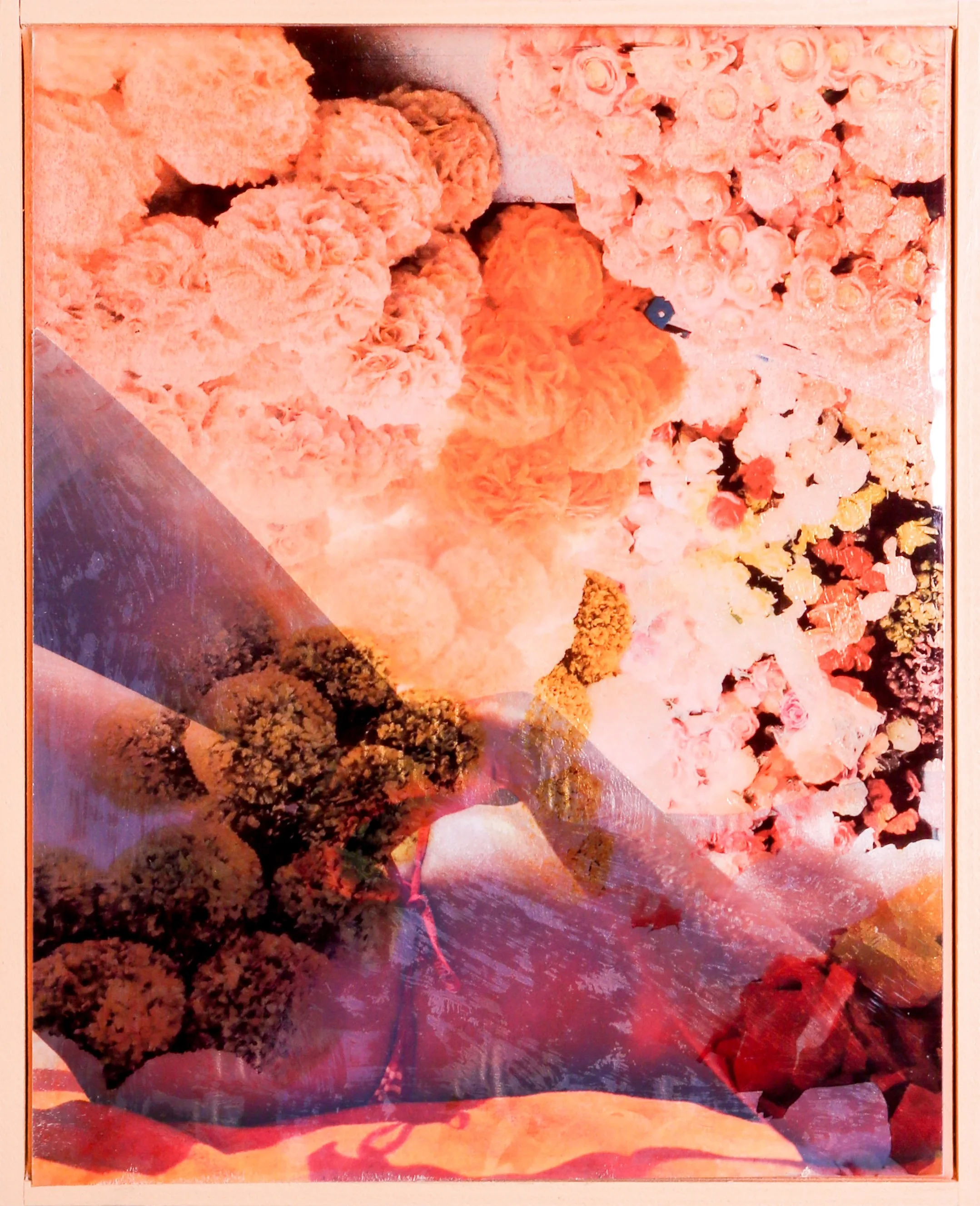 Display of colorful flowers, including pink, orange, yellow, and purple blooms, arranged in flowers and bouquets.