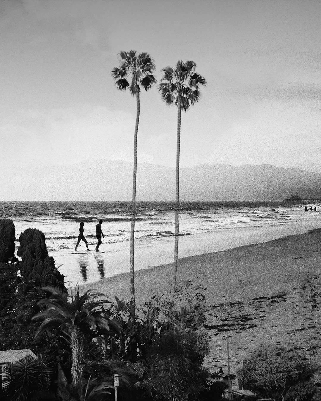 Black and white photo of a beach with two palm trees in the foreground, two people walking along the shoreline, and distant mountains in the background.