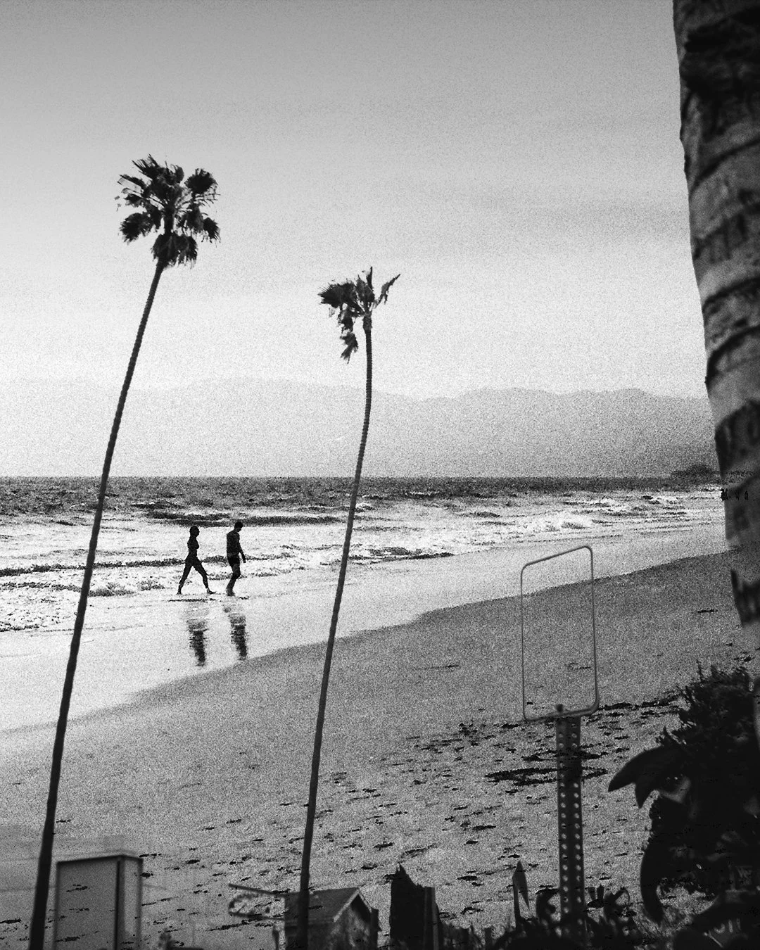 Black and white photo of a beach with two people walking along the shoreline, palm trees leaning over the water, and mountains in the distance.