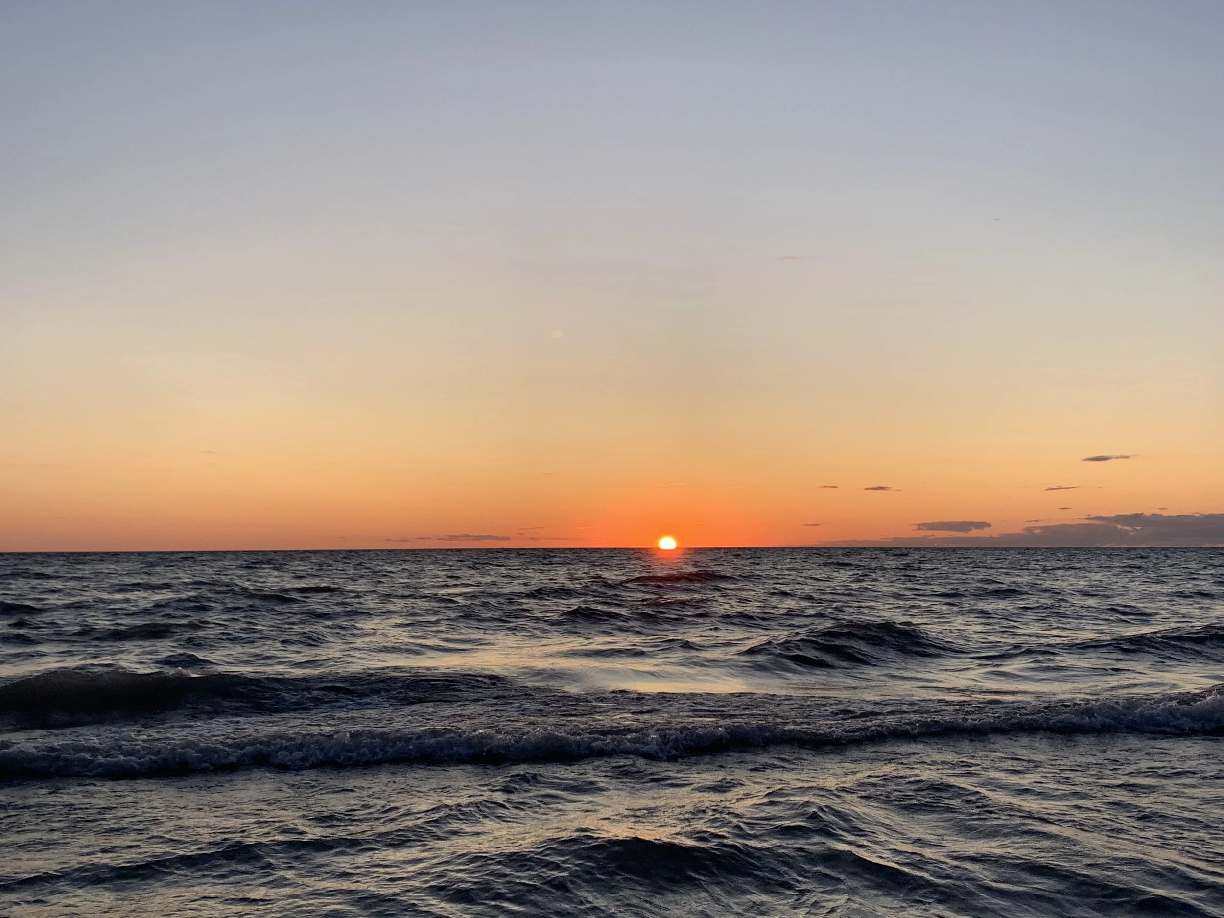 IMG_0334.jpeg